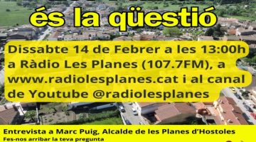 Cartell Les Planes és la qüestió